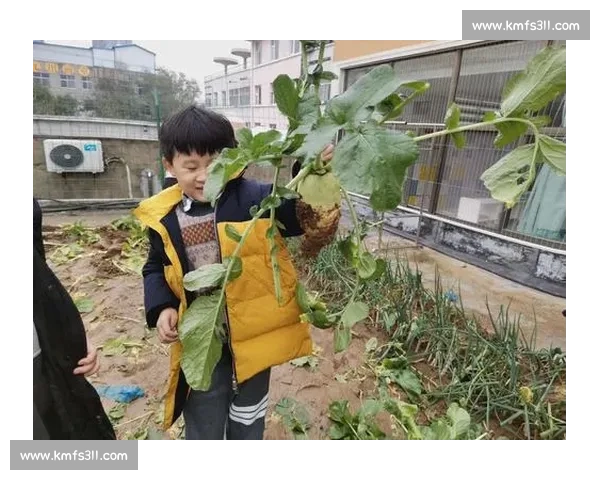 拔萝卜比赛下载挑战你的反应速度与合作能力,快来一起体验吧